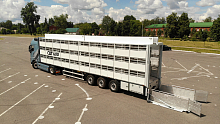 Полуприцеп скотовоз (свиновоз) трёхъярусный  сат600 грузовые
